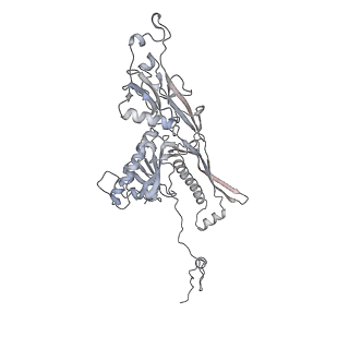 20956_6uzc_n_v1-1
Portal vertex structure of bacteriophage T4
