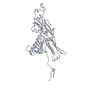 20956_6uzc_n_v1-2
Portal vertex structure of bacteriophage T4