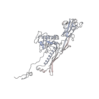 20956_6uzc_o_v1-1
Portal vertex structure of bacteriophage T4