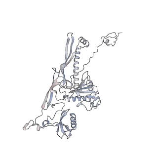 20956_6uzc_r_v1-1
Portal vertex structure of bacteriophage T4