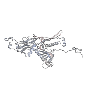 20956_6uzc_t_v1-2
Portal vertex structure of bacteriophage T4