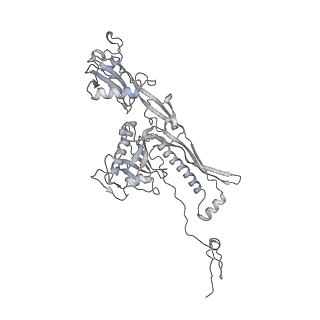 20956_6uzc_u_v1-2
Portal vertex structure of bacteriophage T4