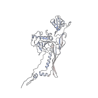 20956_6uzc_v_v1-1
Portal vertex structure of bacteriophage T4