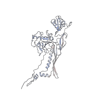 20956_6uzc_v_v1-2
Portal vertex structure of bacteriophage T4