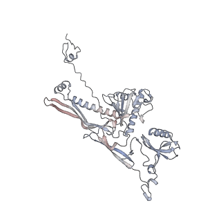 20956_6uzc_x_v1-1
Portal vertex structure of bacteriophage T4