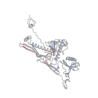 20956_6uzc_x_v1-2
Portal vertex structure of bacteriophage T4