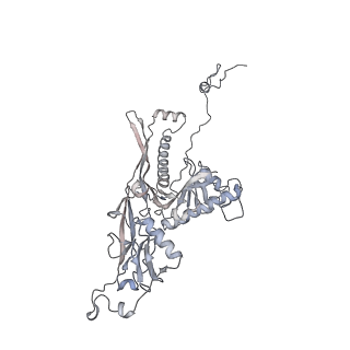 20956_6uzc_z_v1-1
Portal vertex structure of bacteriophage T4