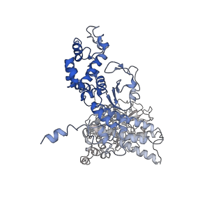 20957_6uzd_H_v1-1
Anthrax toxin protective antigen channels bound to edema factor