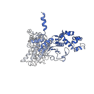 20957_6uzd_I_v1-0
Anthrax toxin protective antigen channels bound to edema factor
