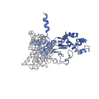 20957_6uzd_I_v1-1
Anthrax toxin protective antigen channels bound to edema factor