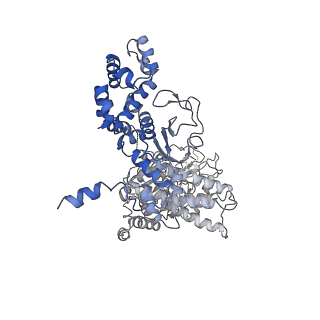 20958_6uze_H_v1-1
Anthrax toxin protective antigen channels bound to edema factor