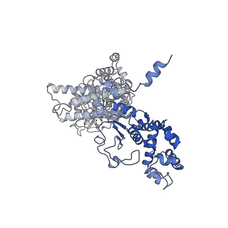 20958_6uze_I_v1-1
Anthrax toxin protective antigen channels bound to edema factor