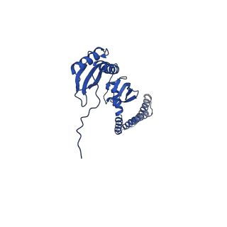 20959_6uzh_A_v1-1
Cryo-EM structure of mechanosensitive channel MscS reconstituted into peptidiscs