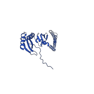 20959_6uzh_B_v1-1
Cryo-EM structure of mechanosensitive channel MscS reconstituted into peptidiscs