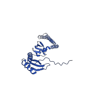 20959_6uzh_C_v1-1
Cryo-EM structure of mechanosensitive channel MscS reconstituted into peptidiscs