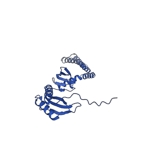 20959_6uzh_C_v1-2
Cryo-EM structure of mechanosensitive channel MscS reconstituted into peptidiscs