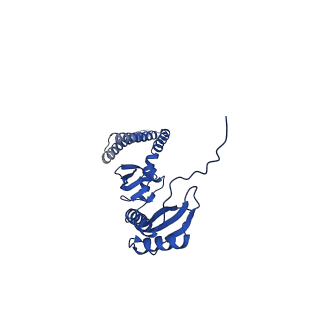 20959_6uzh_D_v1-2
Cryo-EM structure of mechanosensitive channel MscS reconstituted into peptidiscs