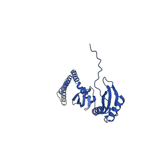 20959_6uzh_E_v1-1
Cryo-EM structure of mechanosensitive channel MscS reconstituted into peptidiscs