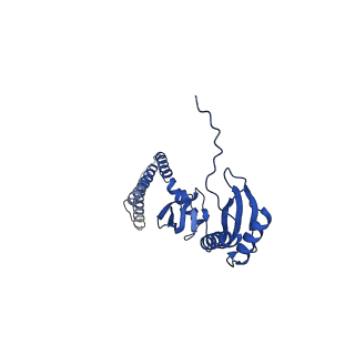 20959_6uzh_E_v1-2
Cryo-EM structure of mechanosensitive channel MscS reconstituted into peptidiscs