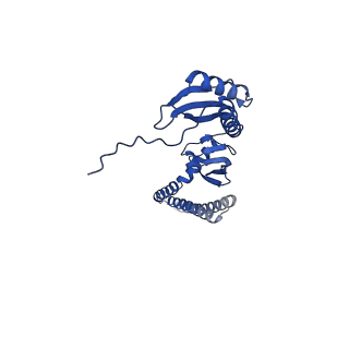 20959_6uzh_G_v1-2
Cryo-EM structure of mechanosensitive channel MscS reconstituted into peptidiscs