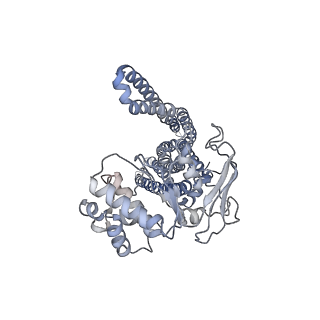 20962_6uzl_A_v1-1
Cryo-EM structure of nucleotide-free MsbA reconstituted into peptidiscs, conformation 2