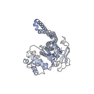 20962_6uzl_A_v1-2
Cryo-EM structure of nucleotide-free MsbA reconstituted into peptidiscs, conformation 2