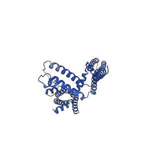 20965_6uzz_A_v1-3
structure of human KCNQ1-CaM complex