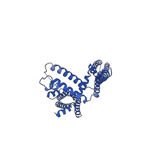 20965_6uzz_A_v1-4
structure of human KCNQ1-CaM complex