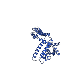 20965_6uzz_C_v1-3
structure of human KCNQ1-CaM complex