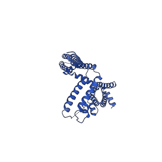 20965_6uzz_C_v1-4
structure of human KCNQ1-CaM complex