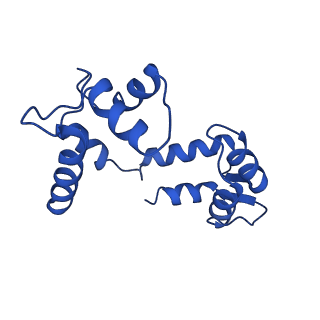 20965_6uzz_D_v1-3
structure of human KCNQ1-CaM complex