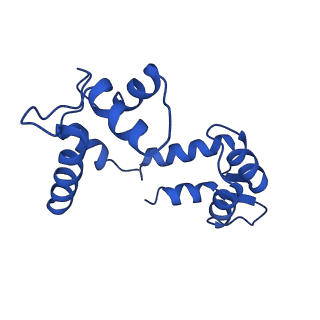 20965_6uzz_D_v1-4
structure of human KCNQ1-CaM complex