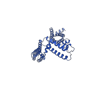 20965_6uzz_E_v1-3
structure of human KCNQ1-CaM complex