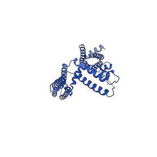 20965_6uzz_E_v1-4
structure of human KCNQ1-CaM complex