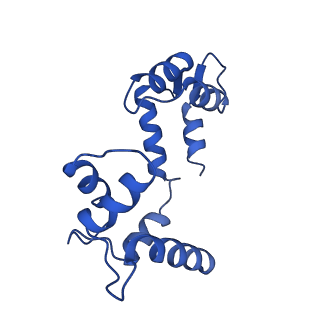 20965_6uzz_F_v1-3
structure of human KCNQ1-CaM complex