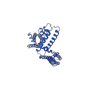 20965_6uzz_G_v1-3
structure of human KCNQ1-CaM complex