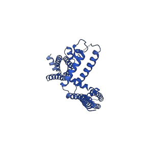 20965_6uzz_G_v1-4
structure of human KCNQ1-CaM complex