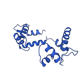20965_6uzz_H_v1-3
structure of human KCNQ1-CaM complex