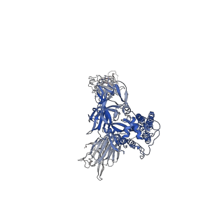 26878_7uz4_A_v1-2
Structure of the SARS-CoV-2 S 6P trimer in complex with the mouse antibody Fab fragment, M8a-3
