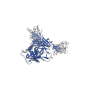 26878_7uz4_B_v1-2
Structure of the SARS-CoV-2 S 6P trimer in complex with the mouse antibody Fab fragment, M8a-3