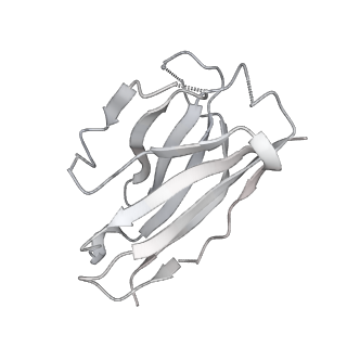 26878_7uz4_H_v1-2
Structure of the SARS-CoV-2 S 6P trimer in complex with the mouse antibody Fab fragment, M8a-3