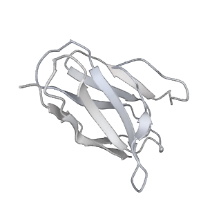 26878_7uz4_L_v1-2
Structure of the SARS-CoV-2 S 6P trimer in complex with the mouse antibody Fab fragment, M8a-3