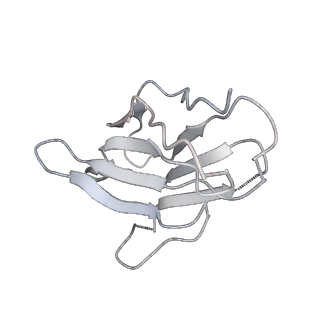 26878_7uz4_N_v1-2
Structure of the SARS-CoV-2 S 6P trimer in complex with the mouse antibody Fab fragment, M8a-3