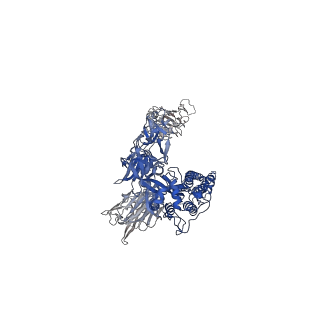 26879_7uz5_A_v1-2
Structure of the SARS-CoV-2 S 6P trimer in complex with the mouse antibody Fab fragment, M8a-6