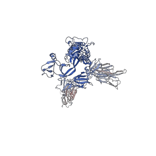 26879_7uz5_B_v1-2
Structure of the SARS-CoV-2 S 6P trimer in complex with the mouse antibody Fab fragment, M8a-6