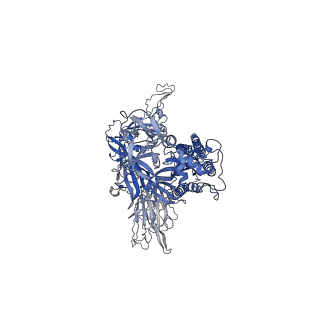 26880_7uz6_A_v1-2
Structure of the SARS-CoV-2 S 6P trimer in complex with the mouse antibody Fab fragment, M8a-28