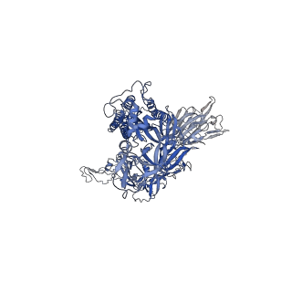 26880_7uz6_B_v1-2
Structure of the SARS-CoV-2 S 6P trimer in complex with the mouse antibody Fab fragment, M8a-28
