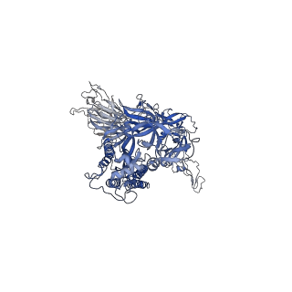 26880_7uz6_C_v1-2
Structure of the SARS-CoV-2 S 6P trimer in complex with the mouse antibody Fab fragment, M8a-28