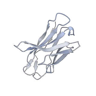 26880_7uz6_H_v1-2
Structure of the SARS-CoV-2 S 6P trimer in complex with the mouse antibody Fab fragment, M8a-28