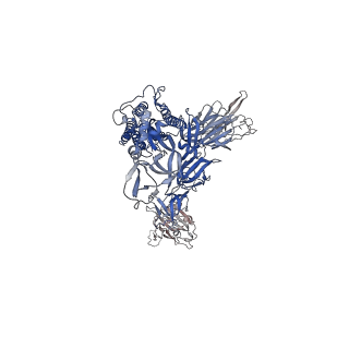 26881_7uz7_B_v1-2
Structure of the SARS-CoV-2 S 6P trimer in complex with the mouse antibody Fab fragment, M8a-31
